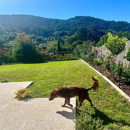 Modern Artistic With Mountain Views, Garden Villa Mondariz-Balneario